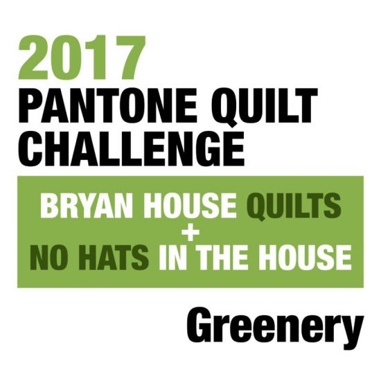 2017 Pantone Quilt Challenge 