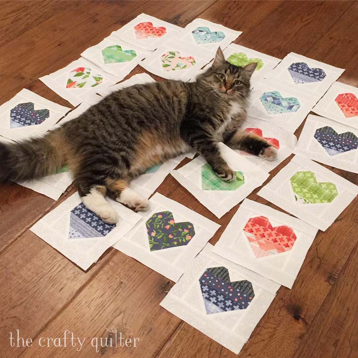 Zoe the cat helping out with the block placement at The Crafty Quilter