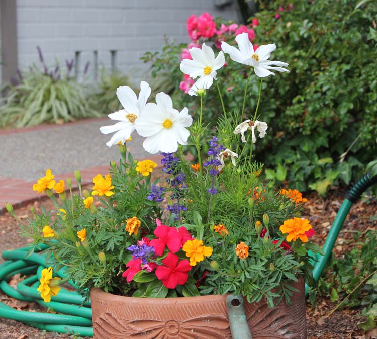 Summer flower pot @ The Crafty Quilter