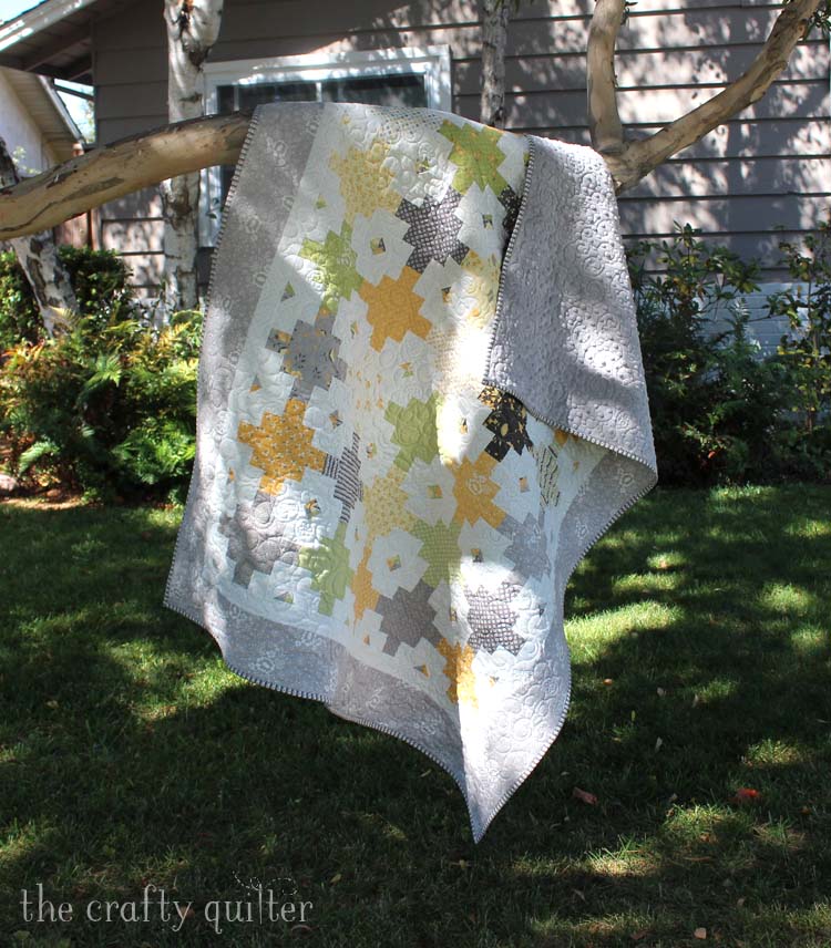 Bee Hive Quilt made by Julie Cefalu. Pattern available from Fat Quarter Shop