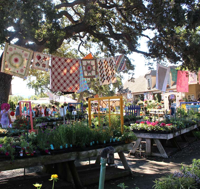 A photo tour of Quilting in the Garden at Alden Lane Nursery in Livemore, California. Beautiful quilts hang among the majestic oaks for a fantastic, outdoor quilt show. Photos by Julie Cefalu @ The Crafty Quilter