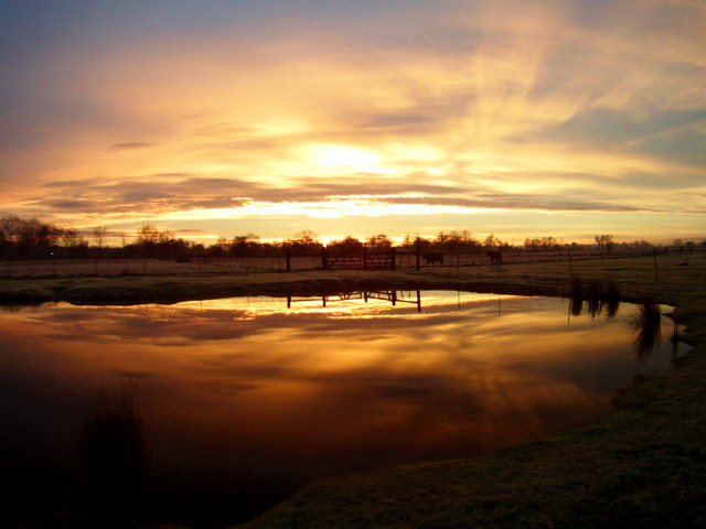 Sunrise at the ranch