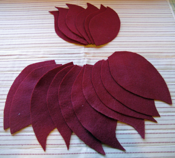 poinsettia petals all cut