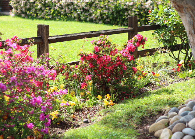 front yard spring