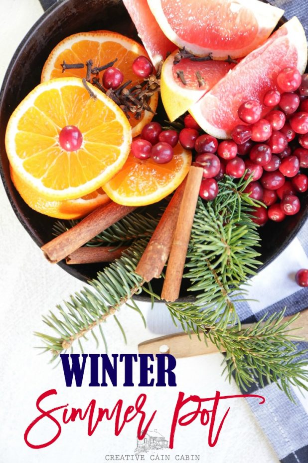 Winter Simmer Pot @ Creative Cain Cabin