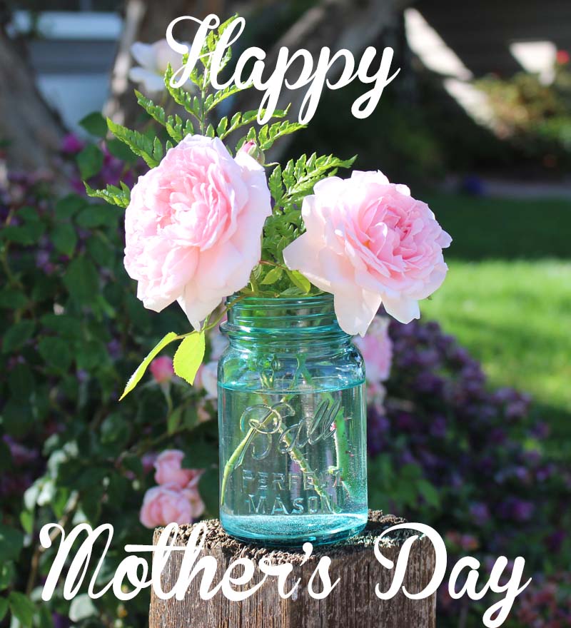 Happy Mother's Day from Julie Cefalu @ The Crafty Quilter