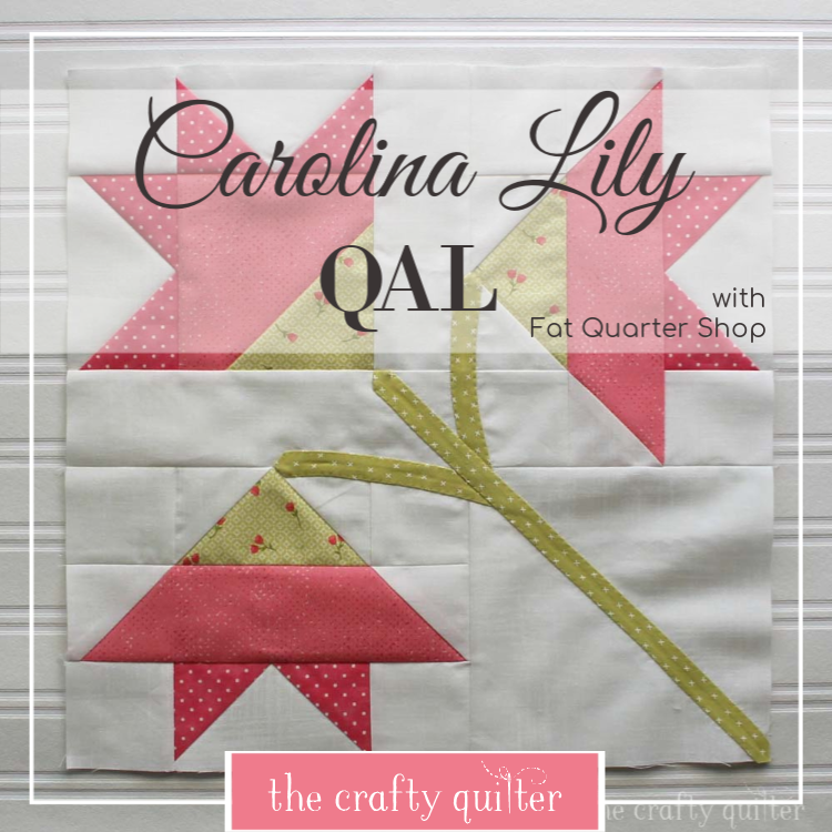 Carolina Lily Quilt Along update