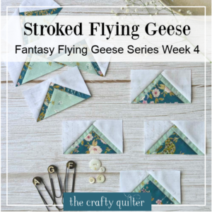 How To Make Stroked Flying Geese | Fantasy Flying Geese Week 4