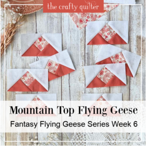 How To Make Mountain Top Flying Geese | Fantasy Flying Geese Week 6